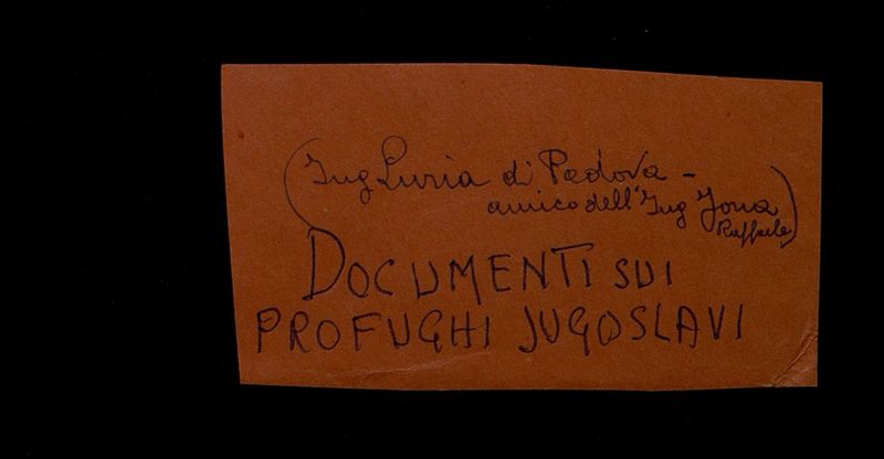 anteprima documento