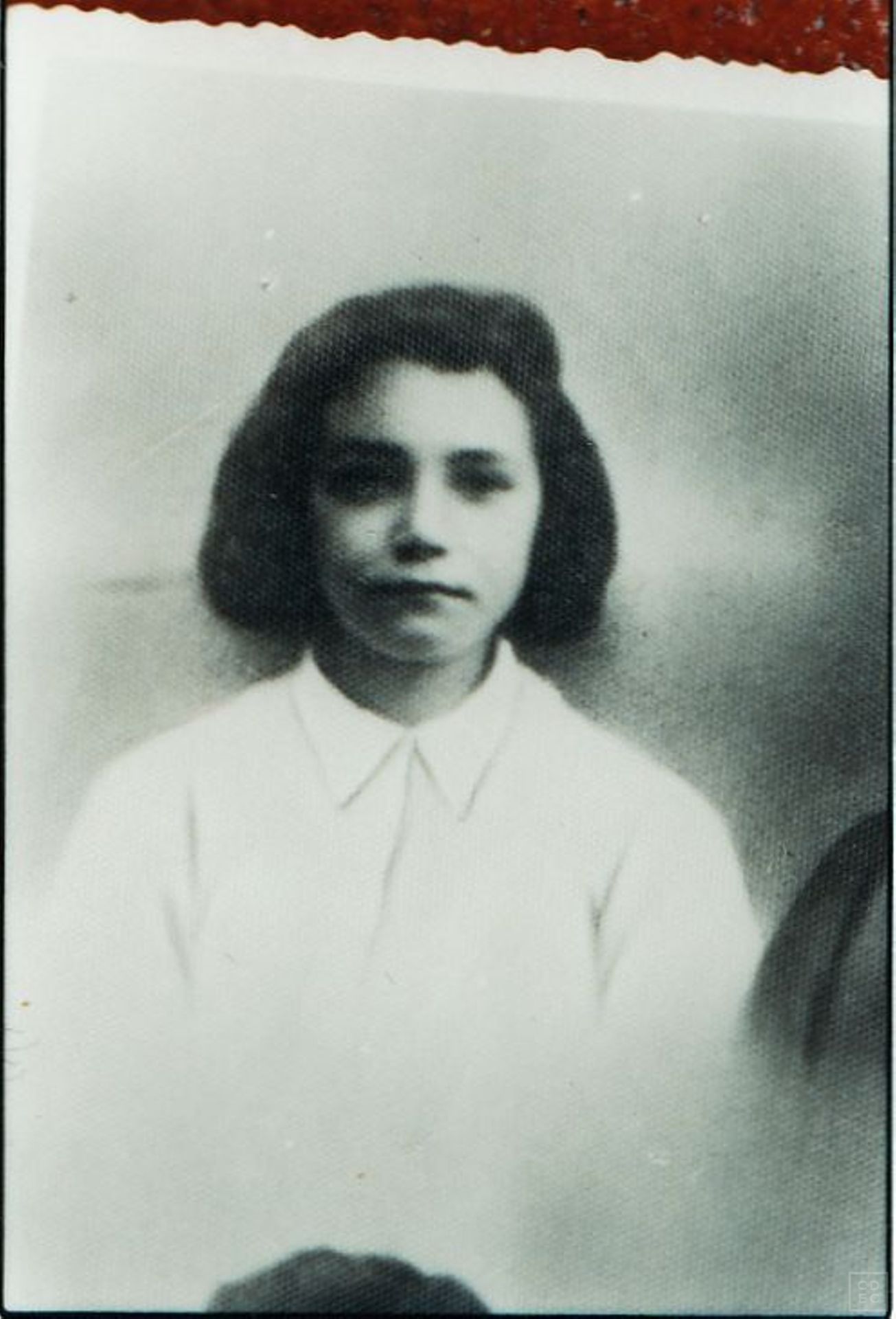 Immagine di copertina - Graziani, Sara