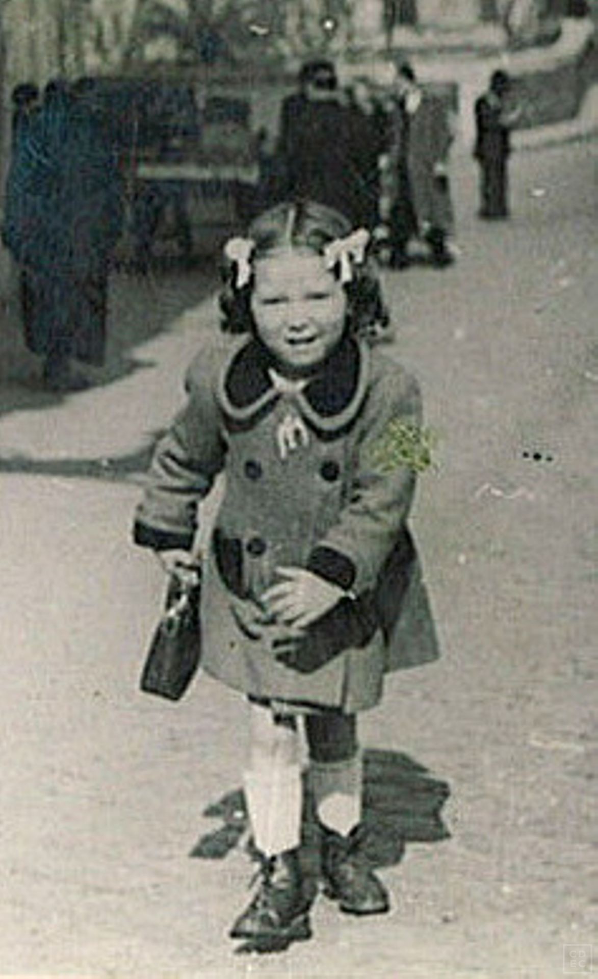 Immagine di copertina - Wachsberger, Clara