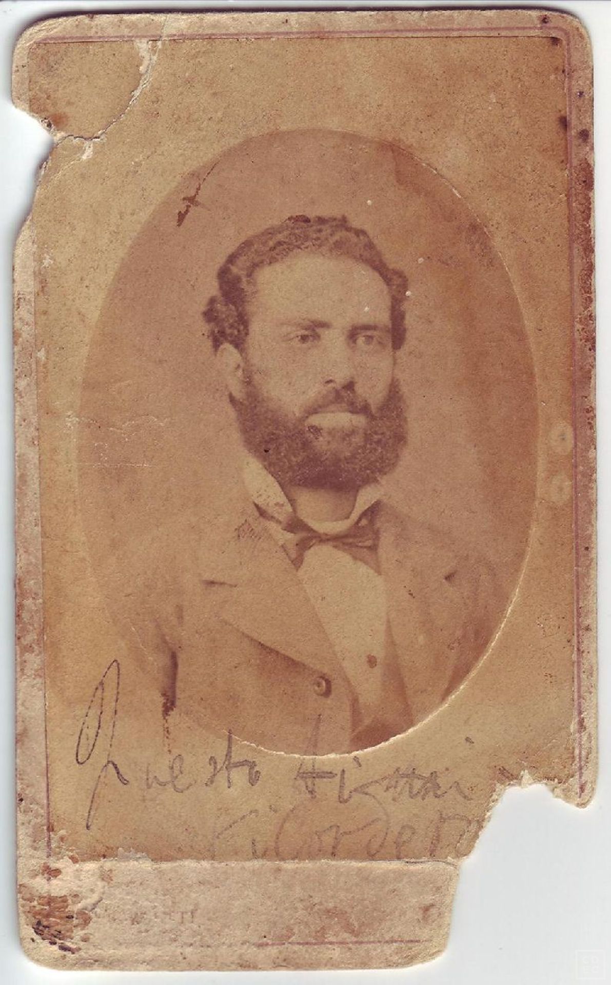 Immagine di copertina - Cassuto, Napoleone