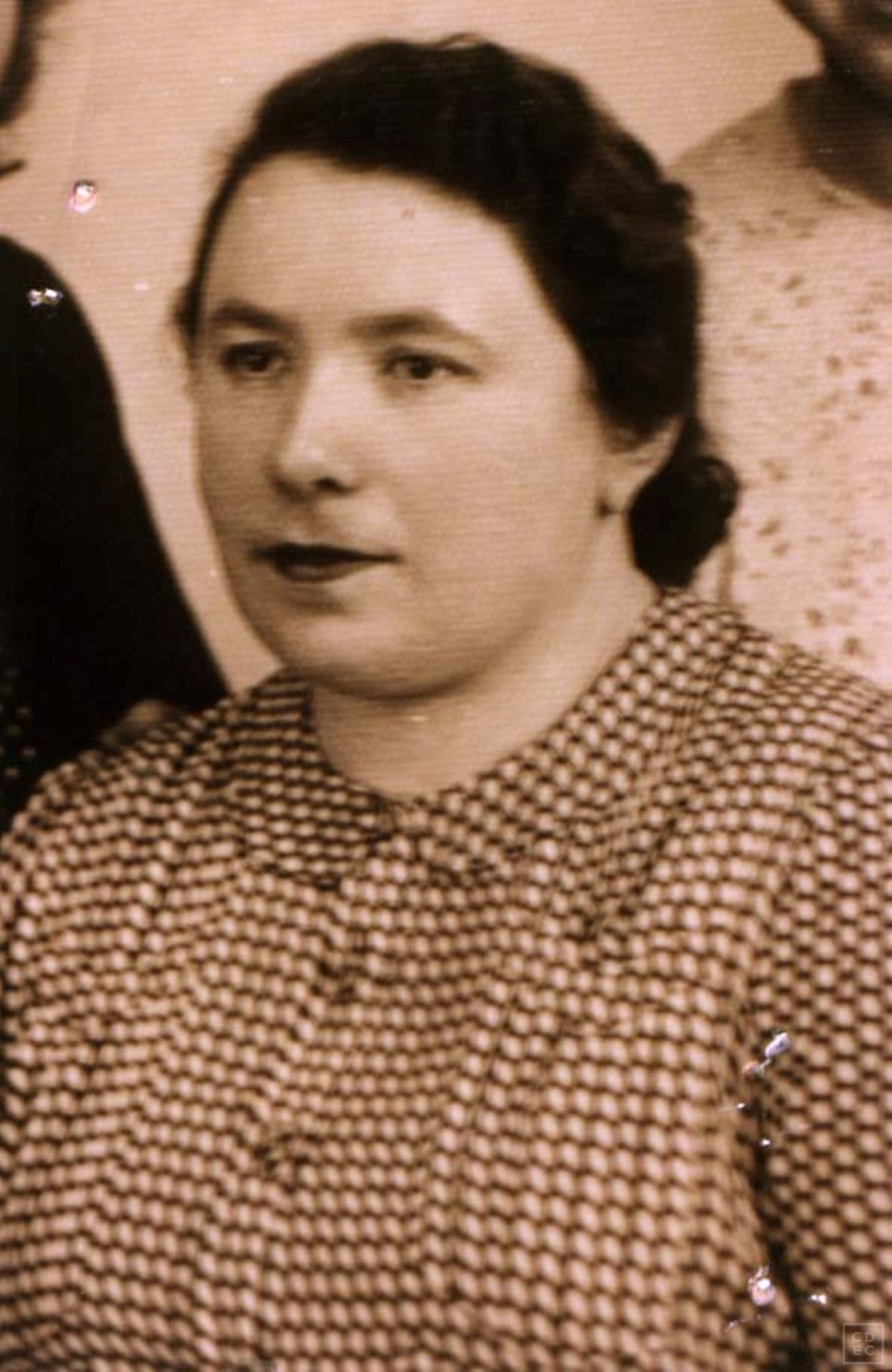 Immagine di copertina - Kurtz, Carlotta