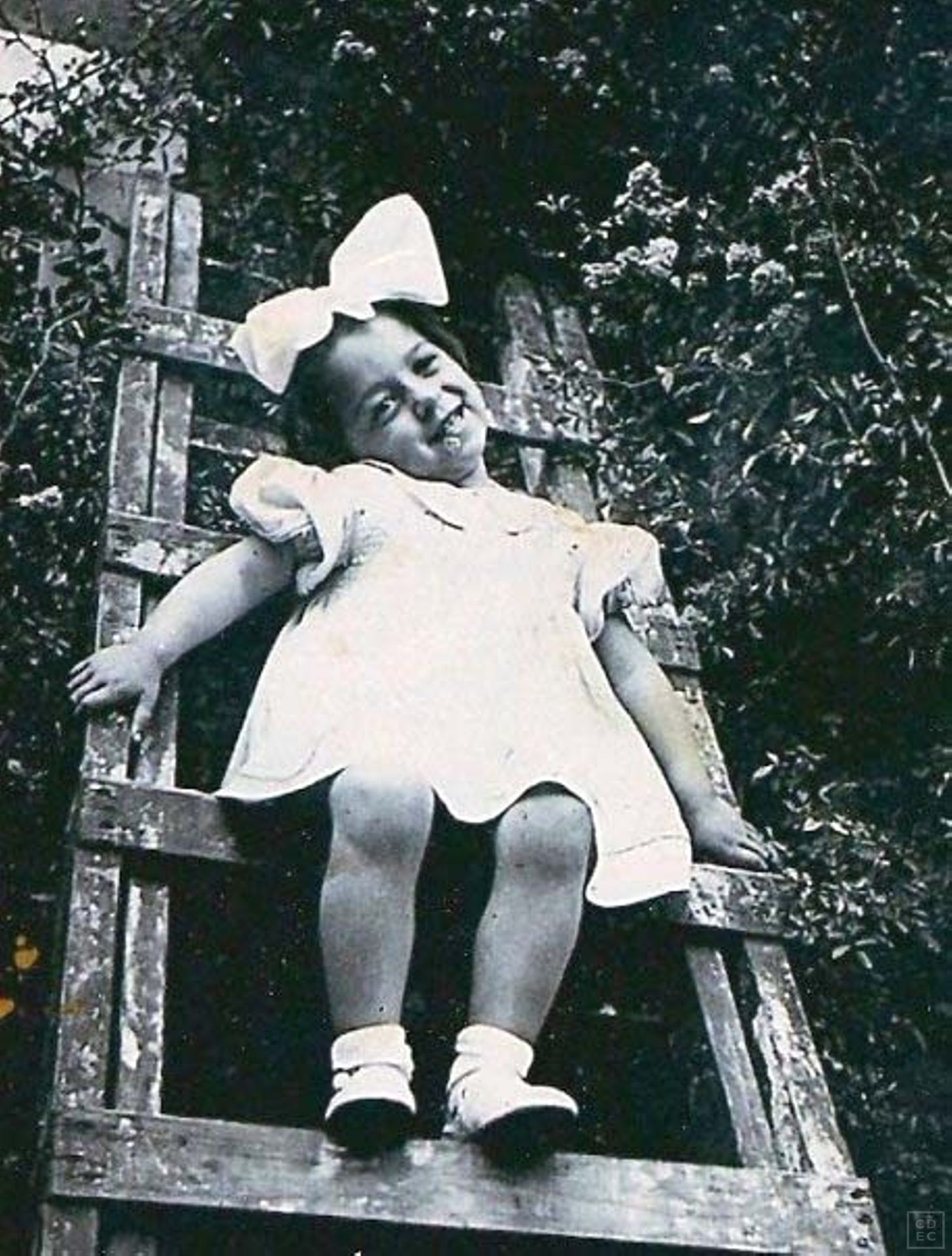 Immagine di copertina - Segrè, Nedda