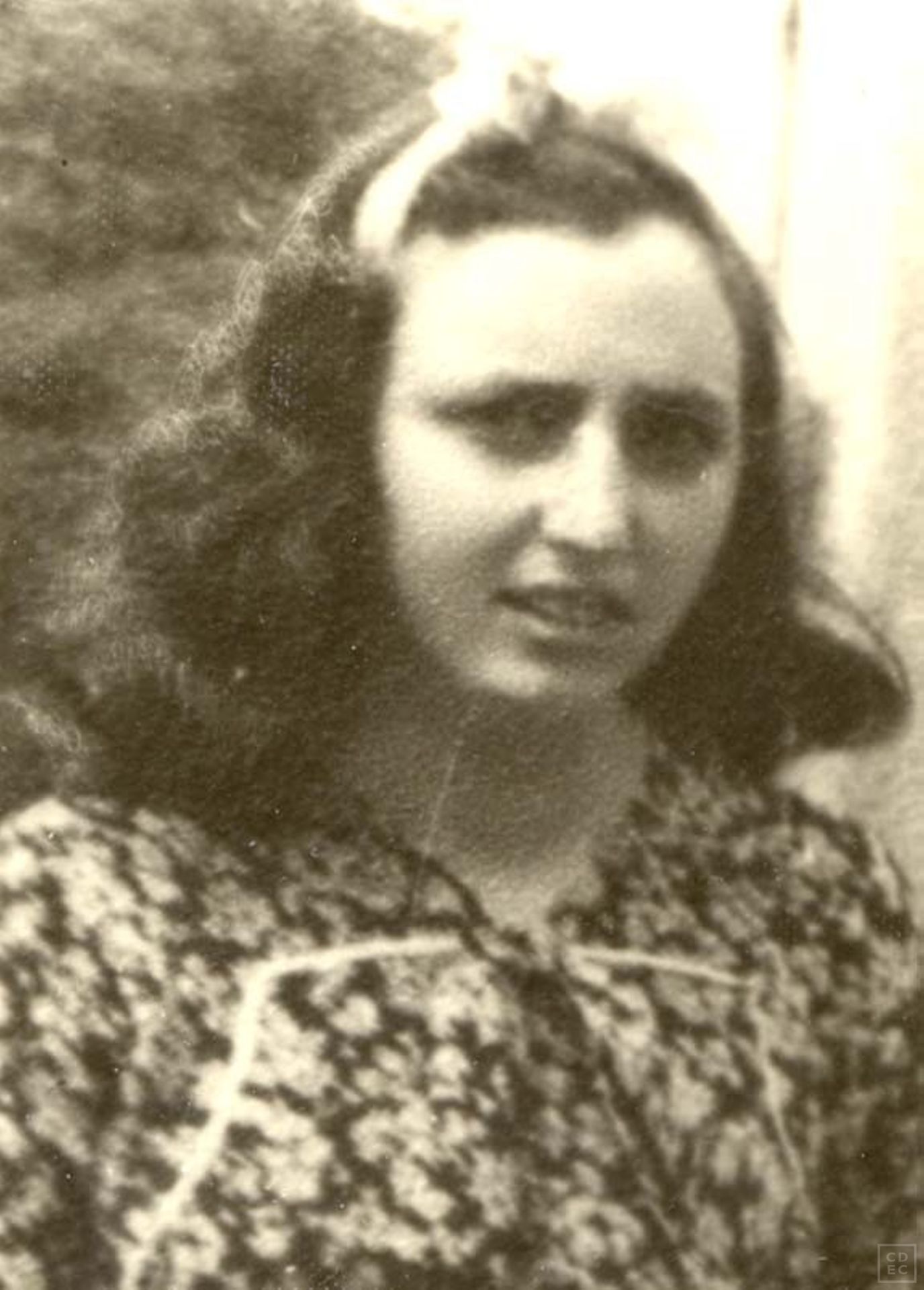 Immagine di copertina - Levi, Alda Silvana