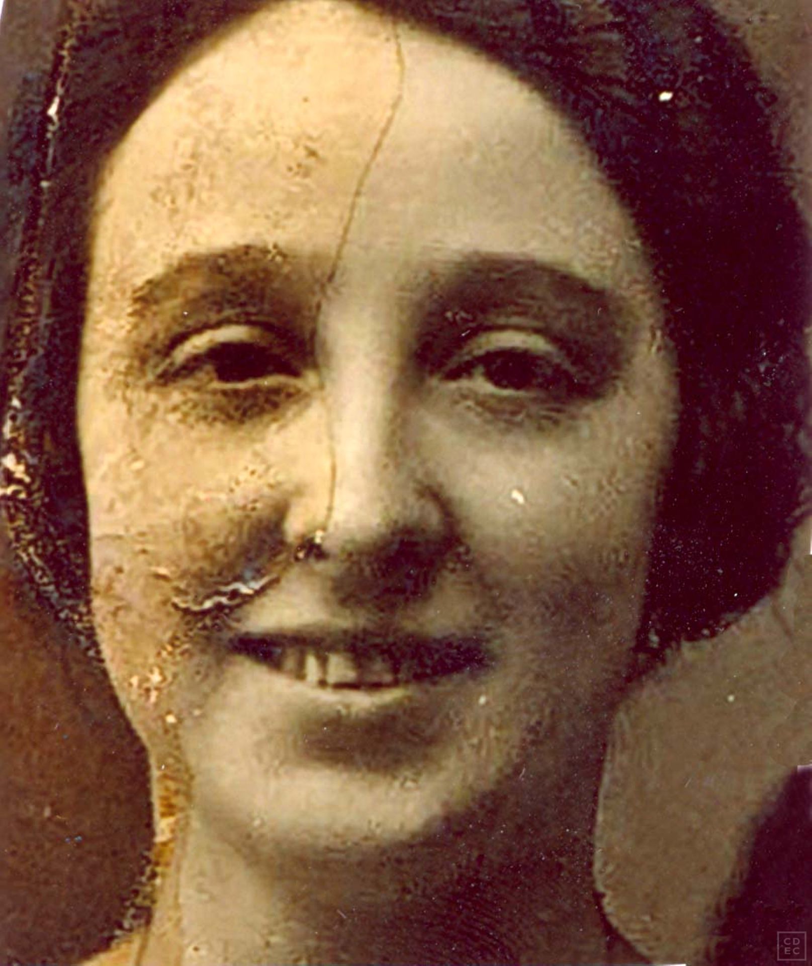 Immagine di copertina - Forti, Berta