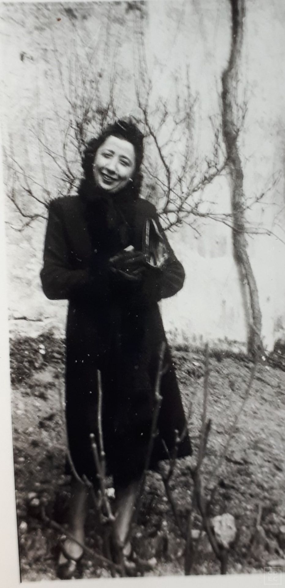 Immagine di copertina - Sonnino, Ilda