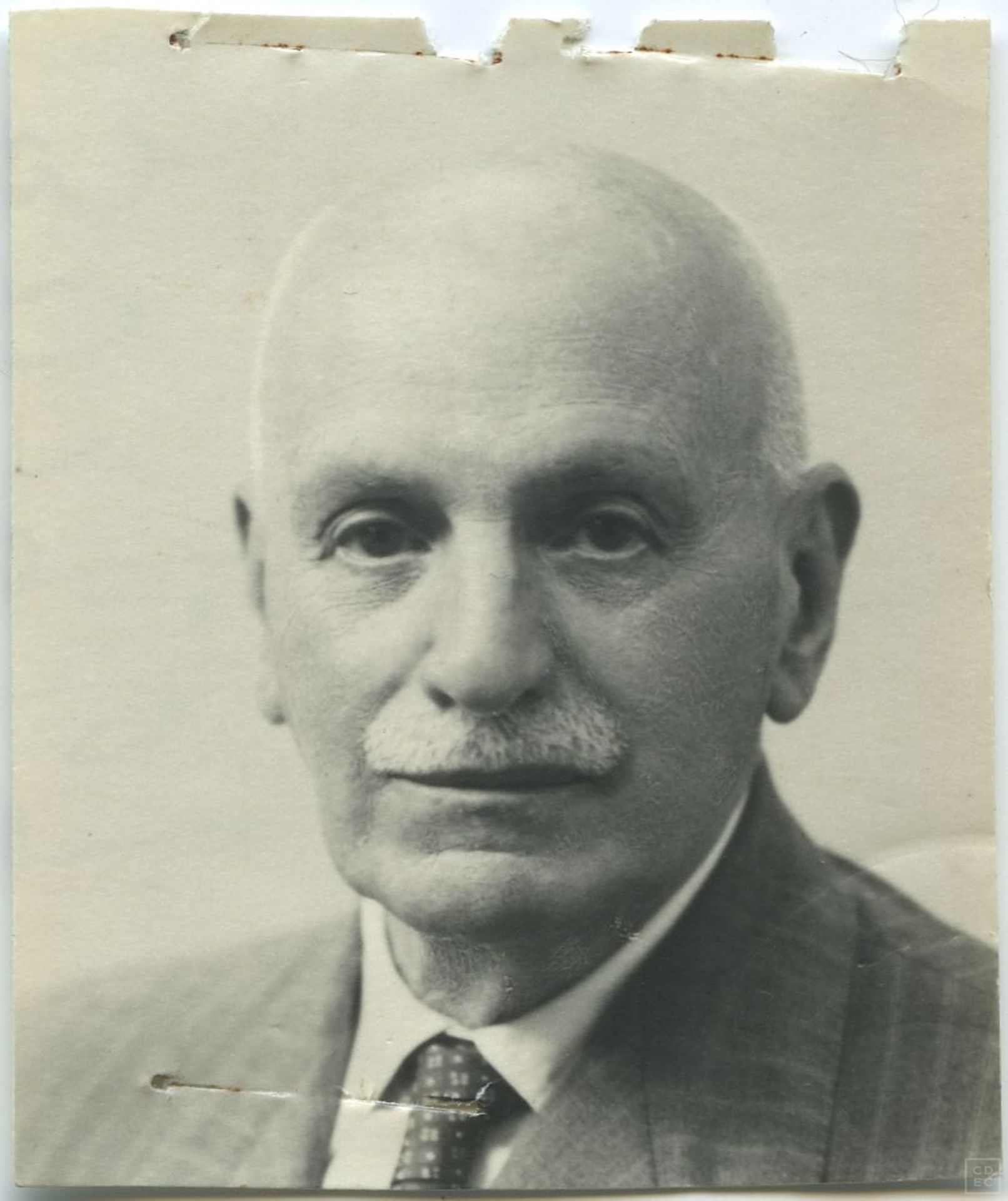Immagine di copertina - Brunner, Alfredo